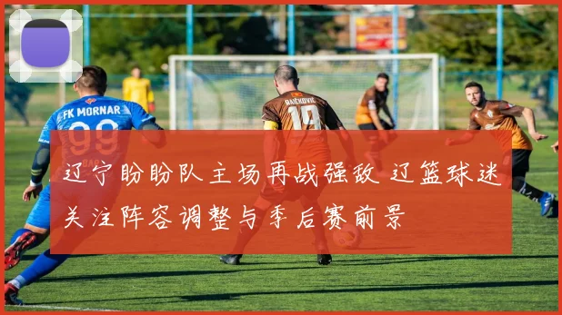 辽宁盼盼队主场再战强敌 辽篮球迷关注阵容调整与季后赛前景