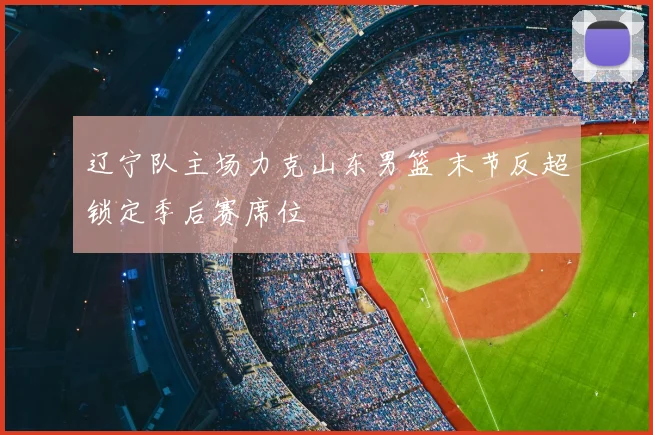 辽宁队主场力克山东男篮 末节反超锁定季后赛席位