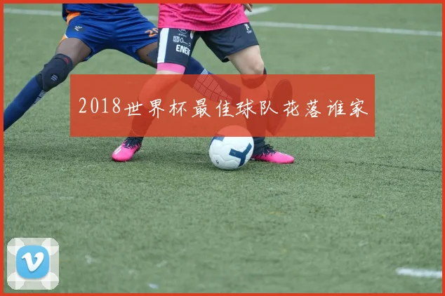 2018世界杯最佳球队花落谁家