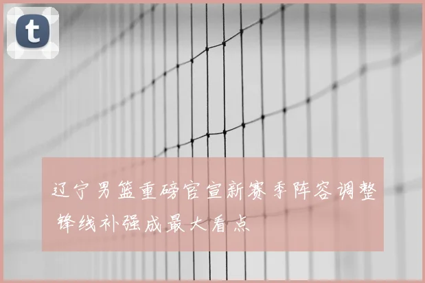 辽宁男篮重磅官宣新赛季阵容调整 锋线补强成最大看点