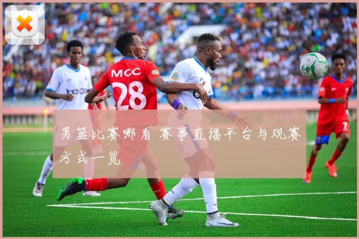 男篮比赛哪看 赛事直播平台与观赛方式一览