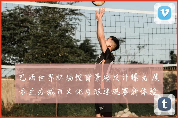 巴西世界杯场馆背景墙设计曝光 展示主办城市文化与球迷观赛新体验