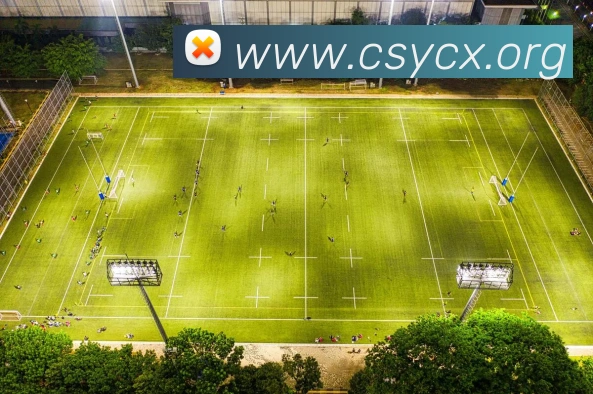 曼城对阵女王公园巡游者集锦 争冠关键战进球回放与比赛看点